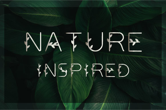 Nature Inspired Font Review for Campaign Designers